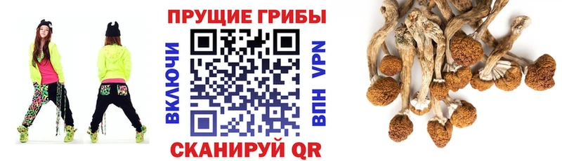Псилоцибиновые грибы мухоморы  Алагир 